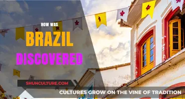 The Fascinating Story of Brazil's Discovery and Early Exploration
