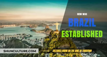 The Birth of Brazil: A Journey Through Its Colonial Origins