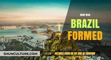 The Historical Journey of Brazil's Formation and Cultural Evolution