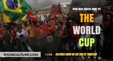Brazil's World Cup Woes: Economic Strain and Social Unrest
