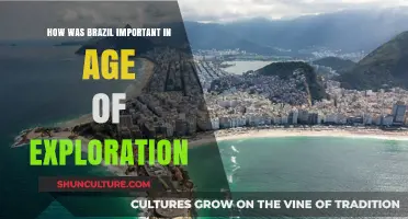 Brazil's Pivotal Role in Shaping the Age of Exploration