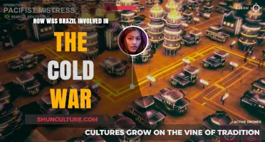 Brazil's Strategic Role and Alignment During the Cold War Era