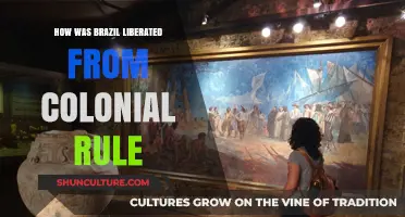 Brazil's Path to Independence: Overcoming Colonial Rule and Forging Freedom