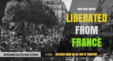 Brazil's Liberation: Unraveling the End of French Influence in the Nation