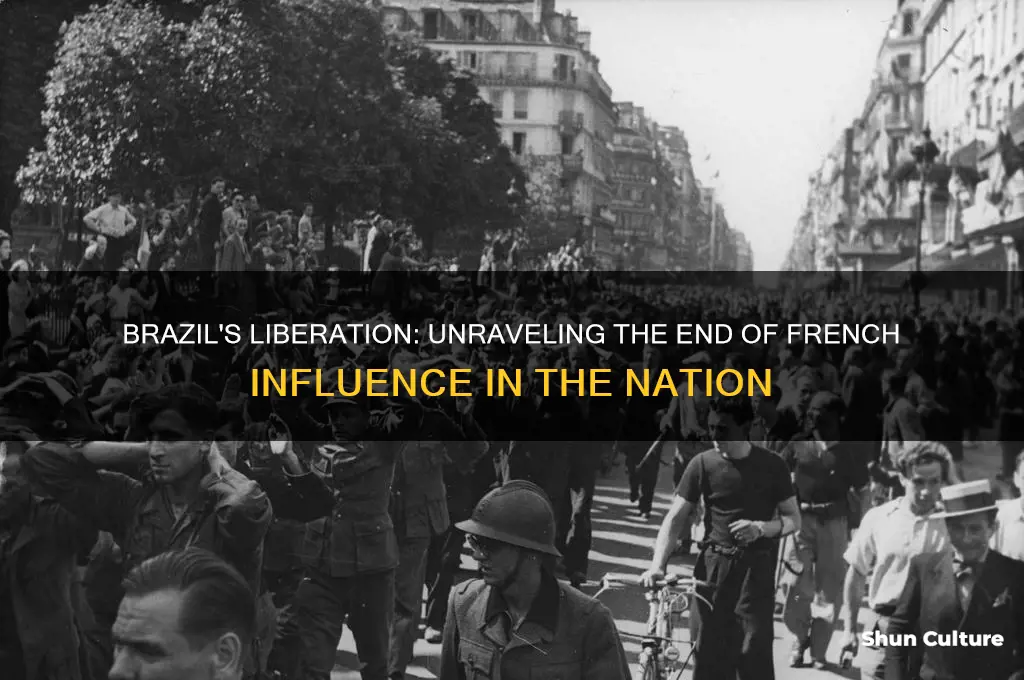how was brazil liberated from france