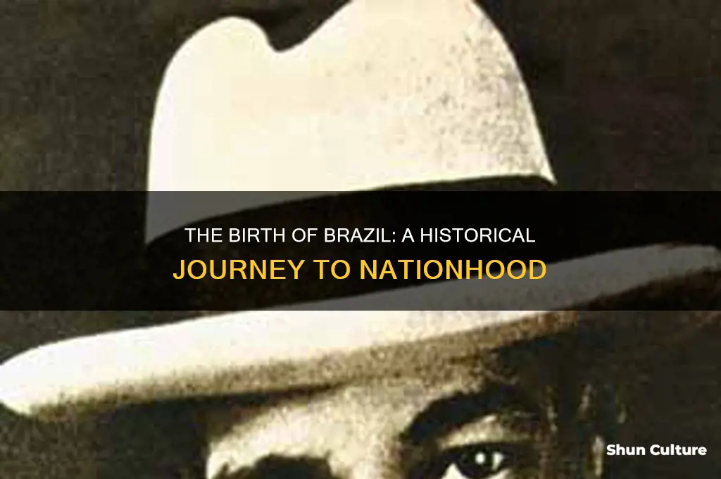 how was brazil made