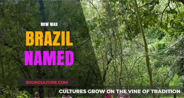 The Surprising Origin Story Behind Brazil's Name Revealed