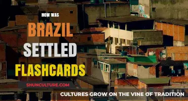 Exploring Brazil's Settlement History: Key Facts and Flashcard Insights
