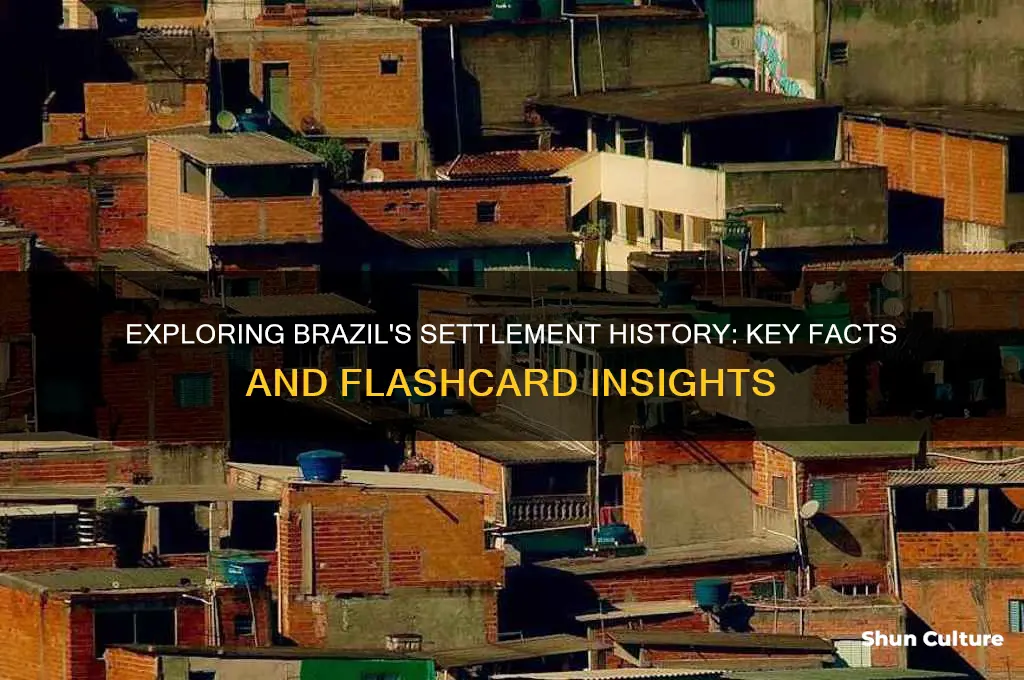 how was brazil settled flashcards