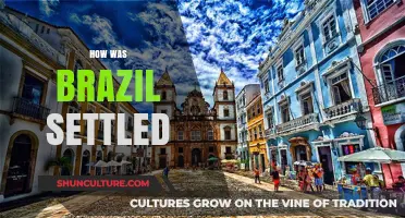 Brazil's Origins: A Journey Through Its Early Settlement and History