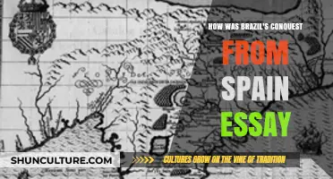 Brazil's Conquest: Unraveling Spain's Historical Influence and Legacy