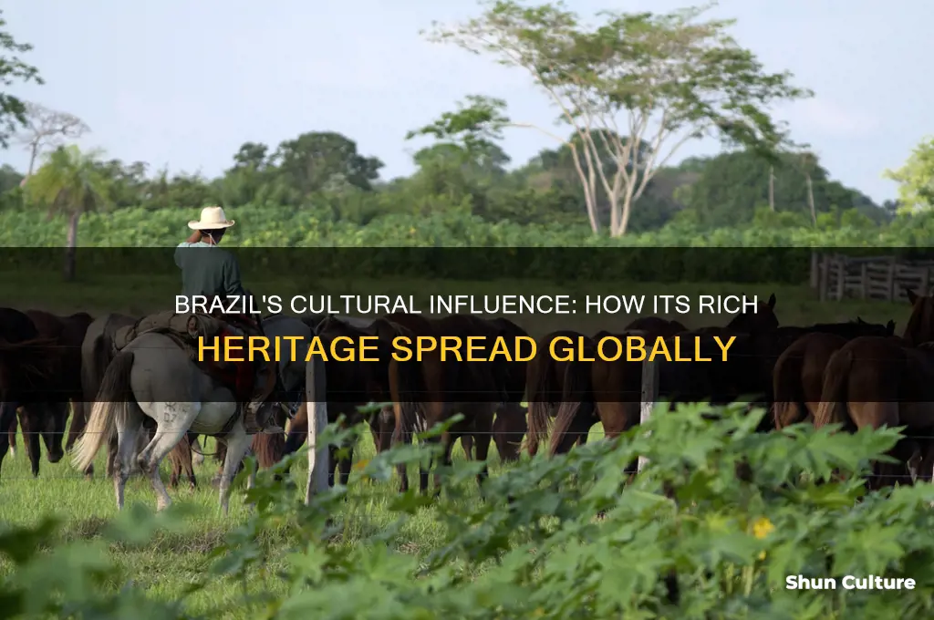 how was brazils culture spread to other areas
