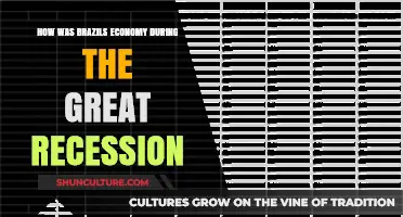 Brazil's Economic Resilience: Navigating the Great Recession's Global Impact