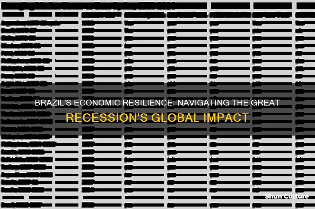 how was brazils economy during the great recession