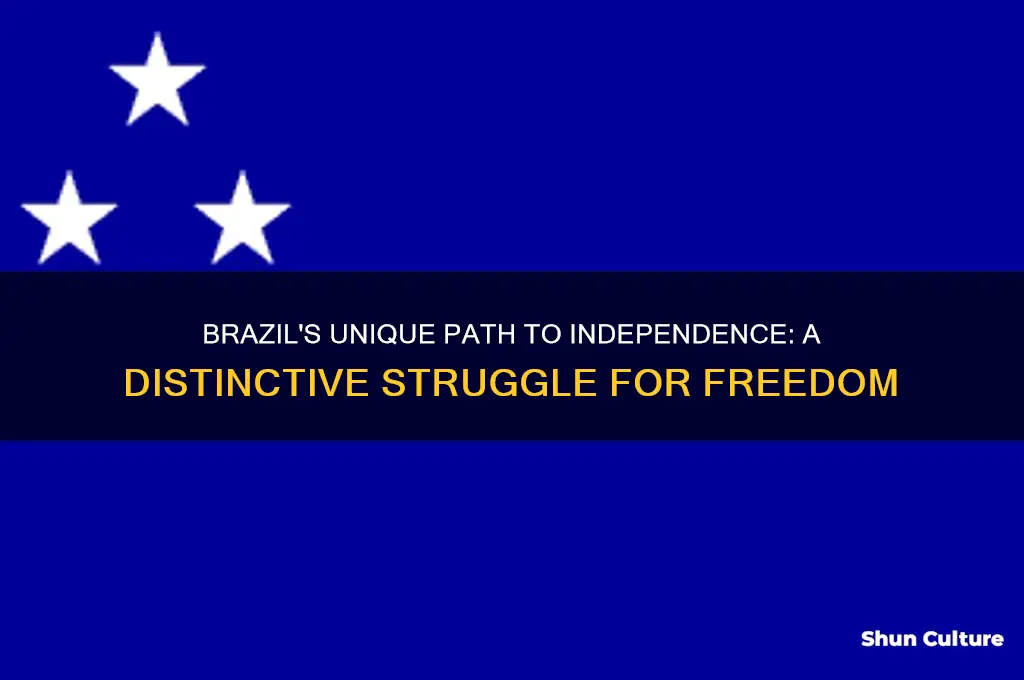 how was brazils struggle for independence different from the rest