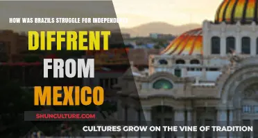 Brazil vs. Mexico: Unique Paths to Independence Compared