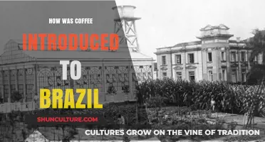 The Surprising Journey of Coffee's Arrival in Brazil