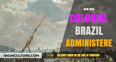 Colonial Brazil's Governance: Structure, Control, and Portuguese Administration