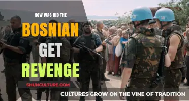 Bosnian Revenge: Unraveling the Aftermath of War and Retribution