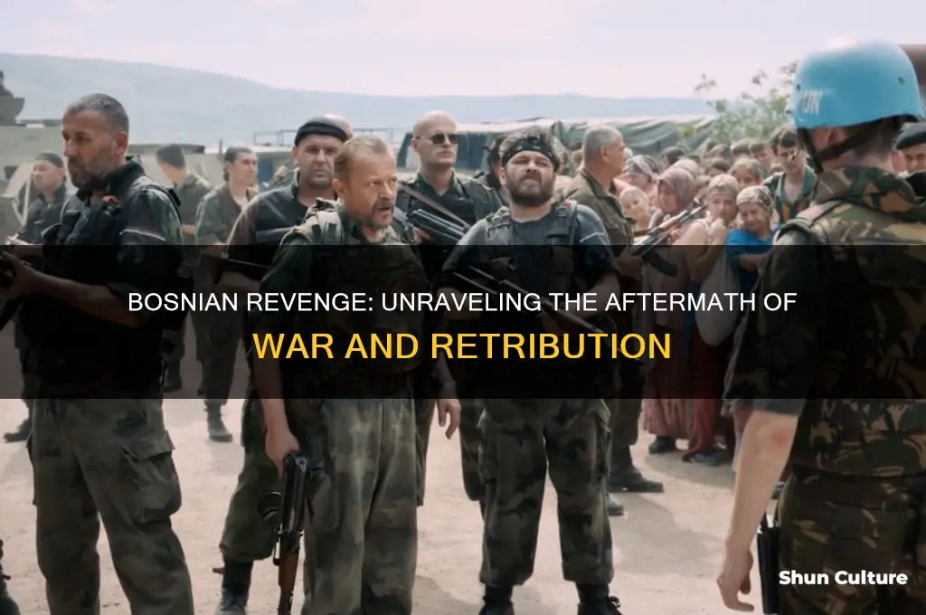 how was did the bosnian get revenge