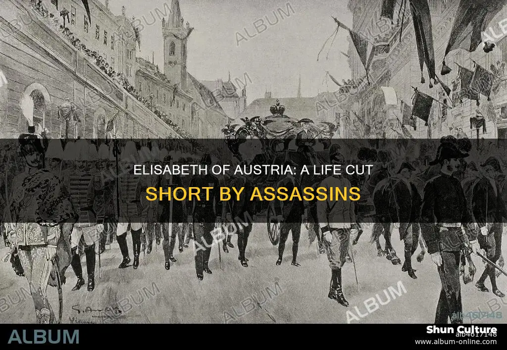 how was elisabeth of austria assassinated