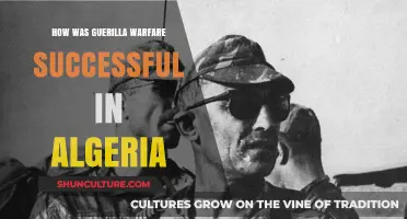 Algeria's Guerrilla Warfare: Strategies and Success Against Colonial Rule