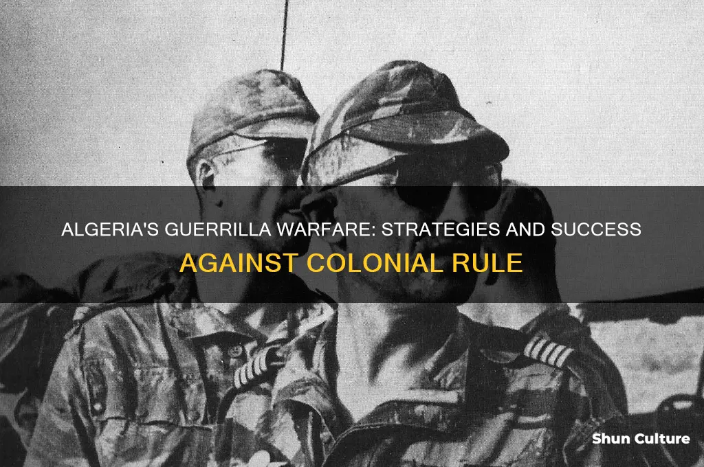 how was guerilla warfare successful in algeria