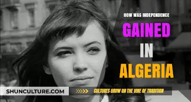 Algeria's Struggle for Freedom: The Path to Independence Explained