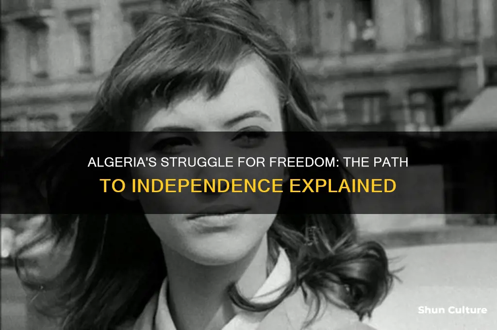 how was independence gained in algeria