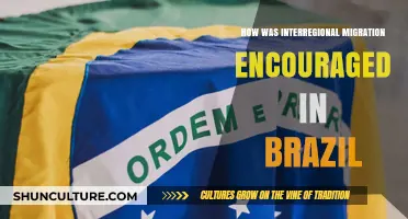 Encouraging Interregional Migration in Brazil: Policies, Incentives, and Impacts