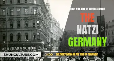 Austria Before Nazi Germany: A Life Recap