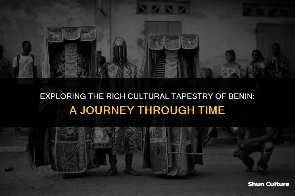 how was life in benin