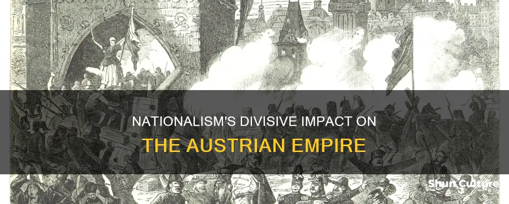 how was nationalism a divisive force in the austrian empire