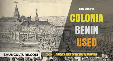 Exploring Pre-Colonial Benin: A Glimpse into Its Rich History and Culture