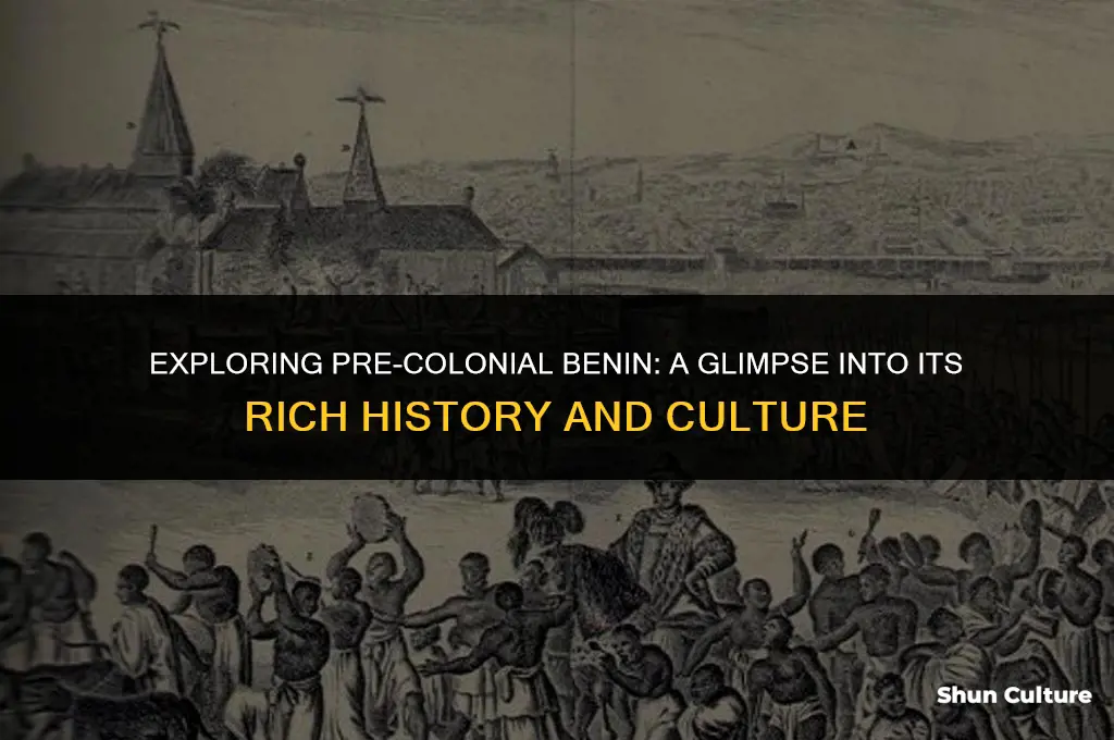 how was pre colonia benin used