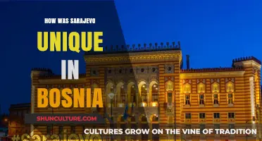 Sarajevo's Distinctive Charm: A Bosnian City Like No Other
