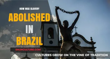 The Long Road to Freedom: Brazil's Journey to Abolish Slavery