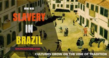 Brazil's Dark Legacy: Understanding the History and Impact of Slavery