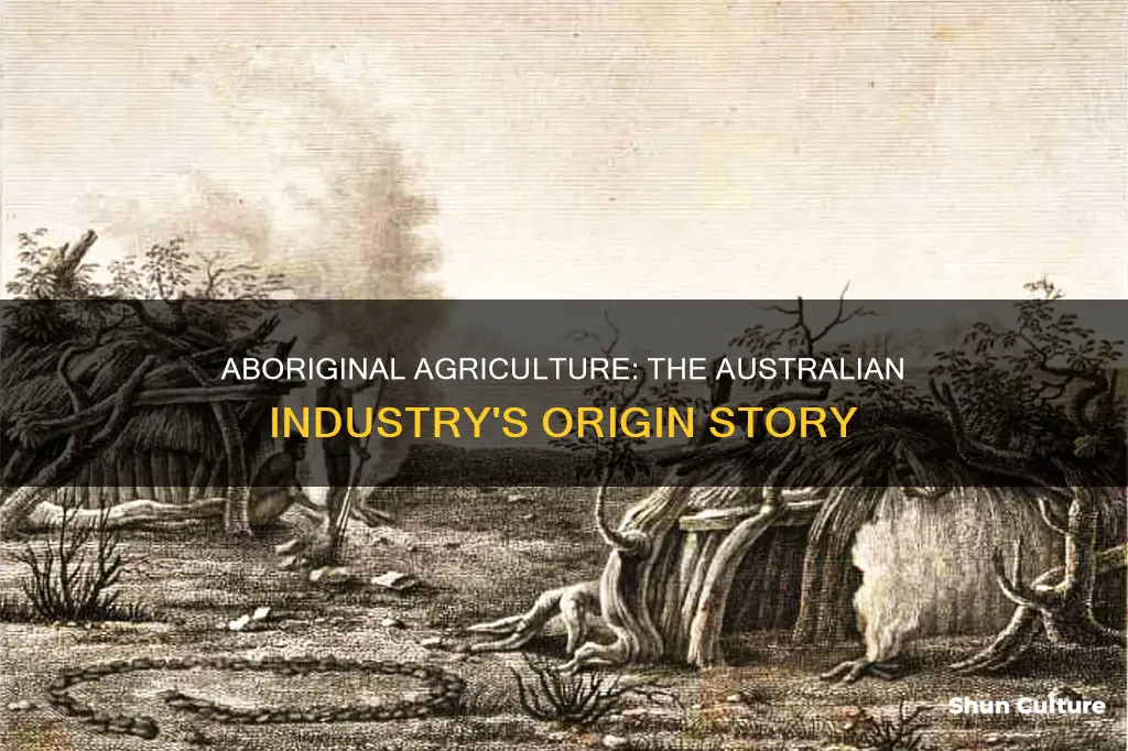 how was the australian agriculture industry made