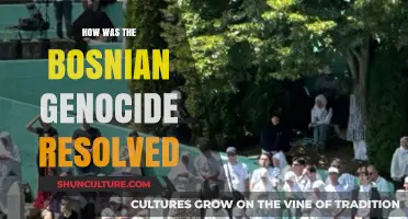 Resolving the Bosnian Genocide: Justice, Reconciliation, and International Intervention