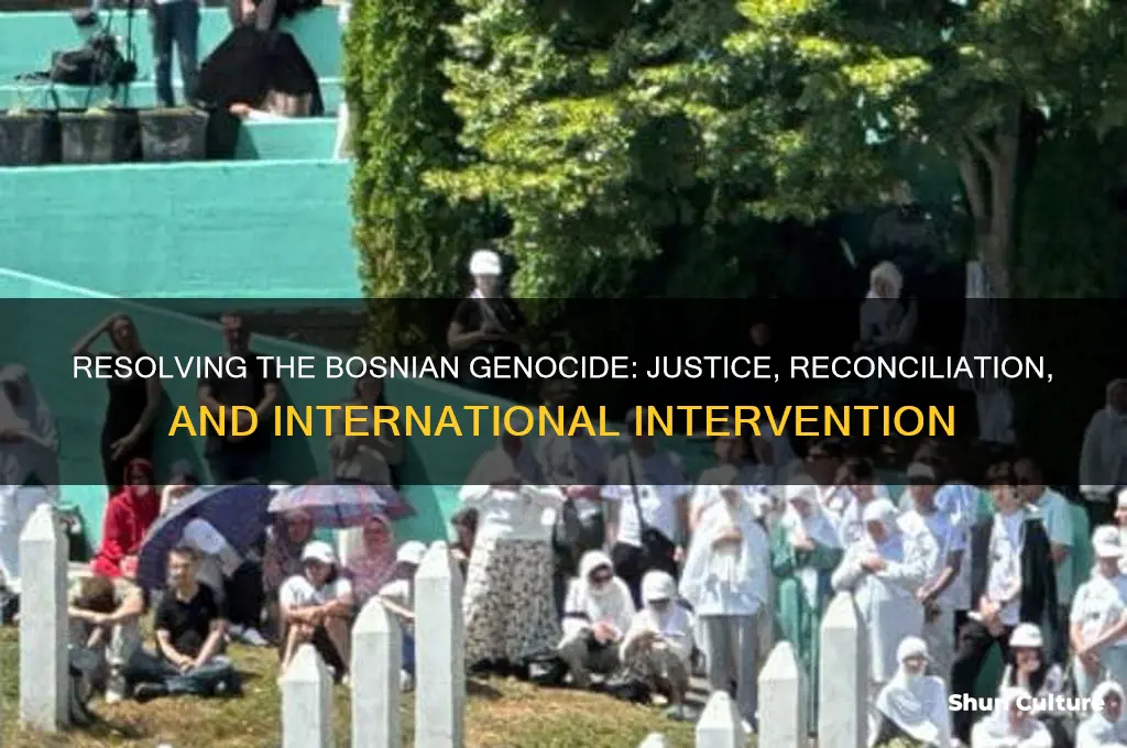 how was the bosnian genocide resolved