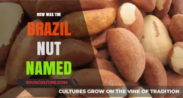The Surprising Origin Story of the Brazil Nut's Name