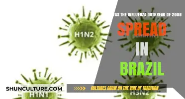Brazil's 2009 Influenza Outbreak: Transmission Patterns and Spread Analysis