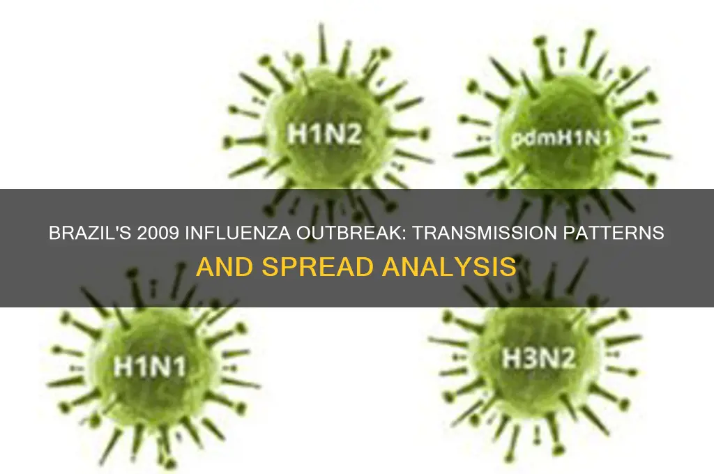 how was the influenza outbreak of 2009 spread in brazil