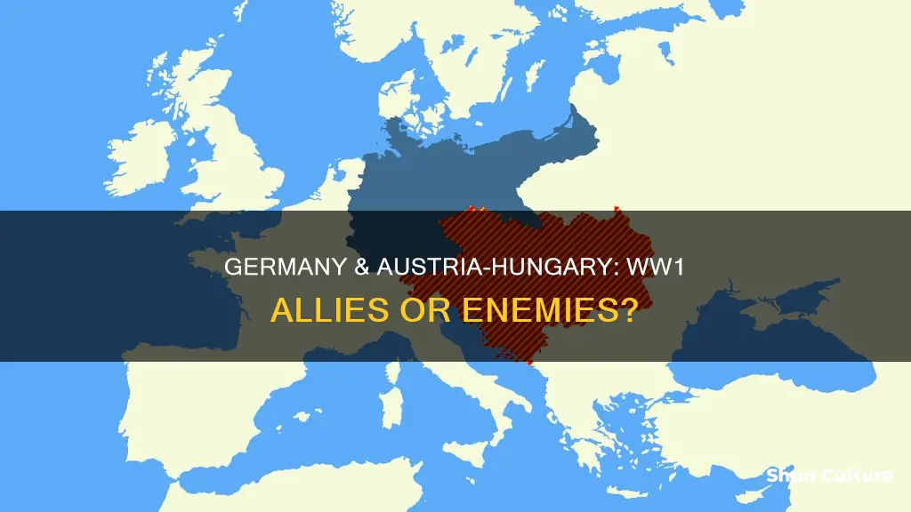 how was the relationship between germany and austria-hungary in ww1