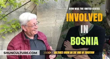 U.S. Role in Bosnia: Diplomacy, Intervention, and Peace Efforts