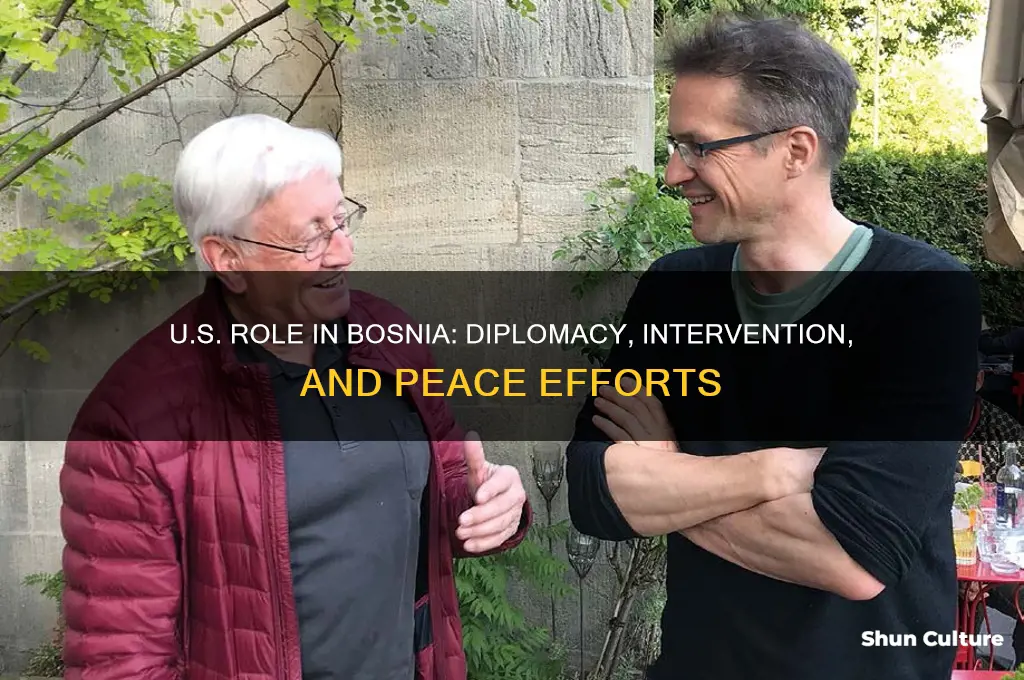 how was the united states involved in bosnia