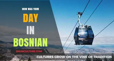 Kako je prošao tvoj dan? Bosnian Day Reflection