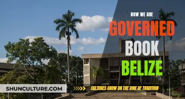 Belize's Governance: A Book's Insight