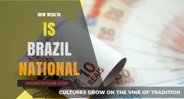Exploring Brazil's National Wealth: Sources, Distribution, and Economic Impact